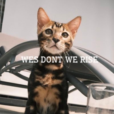wesdontwerise's profile picture. wes don’t we rise official group chat account insta and twitter are our only platforms. 🔥