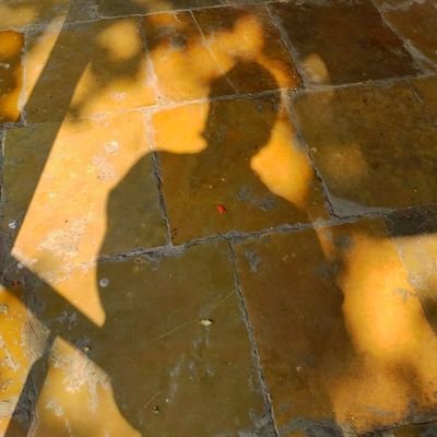 Peedit_pandit's profile picture. 🚩 ब्राह्मण 🚩| A doctor under training 🩺