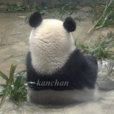 kanchanさんのプロフィール画像