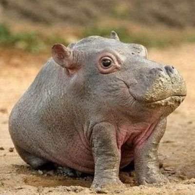 bonbonrur's profile picture. Believe in miracle / 
Giveaway participant / 
NFT ART CREATOR 👨‍🎨🇺🇦