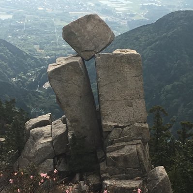 RmHKmPQNMLkJngU's profile picture. 
