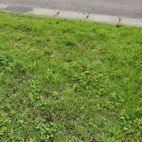 では (@dehanohana) Twitter profile photo