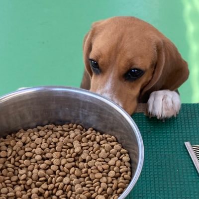 nekotarolu's profile picture. 外資系の IT テクニカル サポート / つぶやきは全て個人の見解です、所属団体とは一切関係ありません 〈元日本企業の組込屋さん(Linux) 、Linux とWindows を行ったり来たりします〉