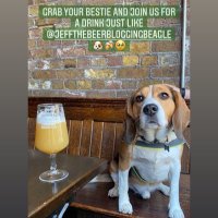 Jeffthebeerbloggingbeagle (@jeffthebeerblo1) 's Twitter Profile