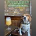Jeffthebeerbloggingbeagle (@jeffthebeerblo1) Twitter profile photo Jeffthebeerbloggingbeagle (@jeffthebeerblo1) Twitter profile photo