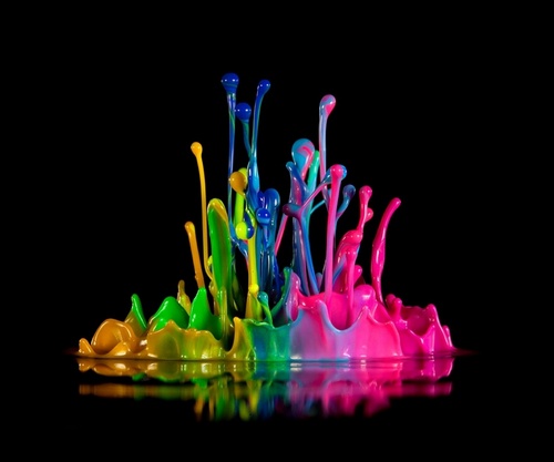 ebonyfamily6's profile picture. 