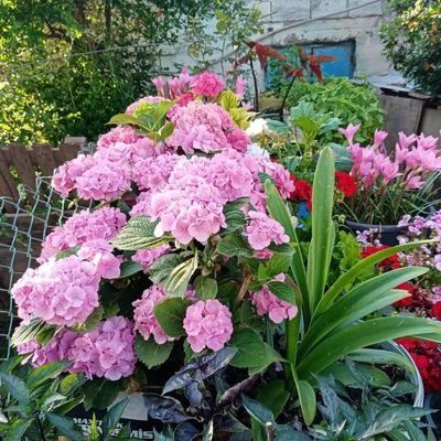 ZeynepA52890834's profile picture. Yaşamak gecenin karanlığında dişe diş,inada inat yaşamak yaşamak bir mavi çiçek gibi,bir nazlı bebek gibi özgürlüğün tadında YAŞAMAK.
Evli barklı..