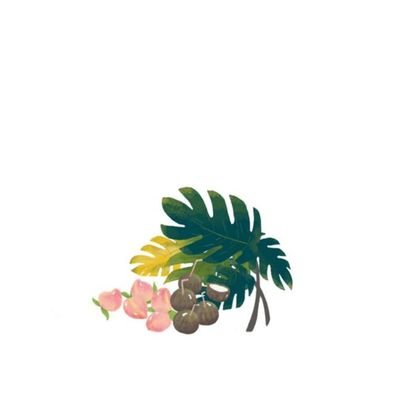 AnnieNaeem7's profile picture. 