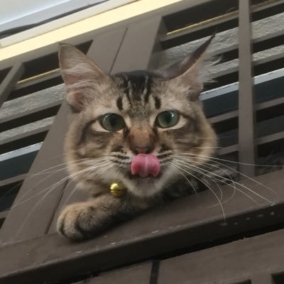 aesthxtx's profile picture. 