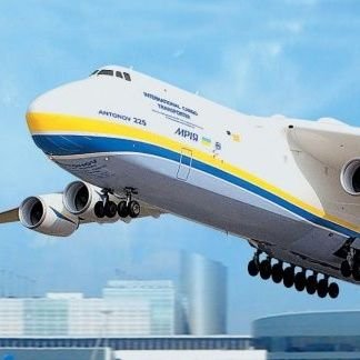 Linton_Irpen's profile picture. 