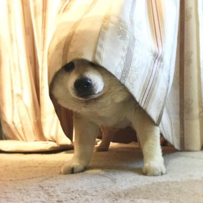 bubbleinpit's profile picture.