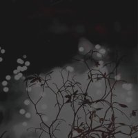 fauzanalghanam (@fauzanalghanam) Twitter profile photo