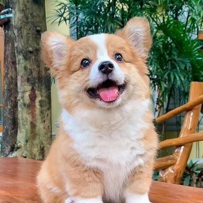 nN__Nn63's profile picture. #เราไม่ได้เลือกเมน #เมนต่างหากที่เลือกเรา #TRINITY #INTO1 #WayV #Got7 #PROXIE #ATLAS  #BUS #DICE
มีไว้เพื่อติดตามศิลปิน และบ่นเรื่อยเปื่อย :)