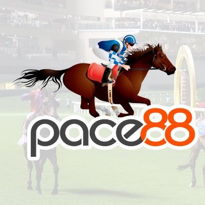 Pace88Horse Profile Picture