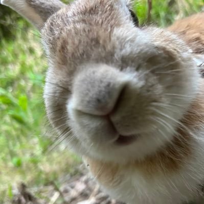 いろんなジャンル見ます👀特にkpopと 🐈