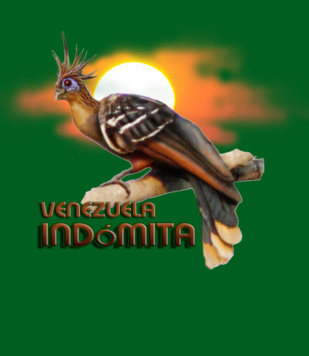 Venezuela Indómita. AvenTurismo alternativo, familiar de aventura y Ecológico. Los Llanos, Gran Sabana, Caura, Orinoco, Playas y más!!!