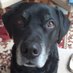 Sue Hines (@suehines1) Twitter profile photo Sue Hines (@suehines1) Twitter profile photo