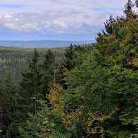 Frank (@frankonia66) 's Twitter Profile