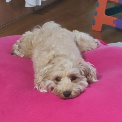 zinster777_g's profile picture. 