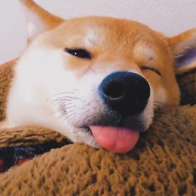 SkySun3698's profile picture. xmr or btc