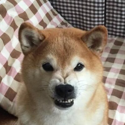 生涯侍担