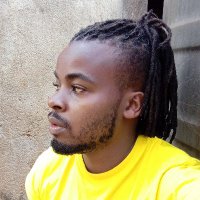 Selectormnazi (@napsdanitoh) 's Twitter Profile