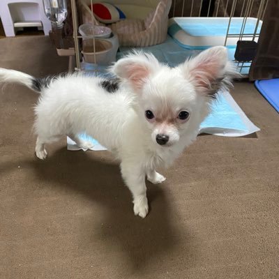 w49S1aEzppjPU2d's profile picture. 