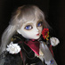 ルートヴィヒ(ビュッフェ)🐩♥️🍁🖤🌙🌹💙🐿️🐿️🌠💐 (@ludwig4649) Twitter profile photo