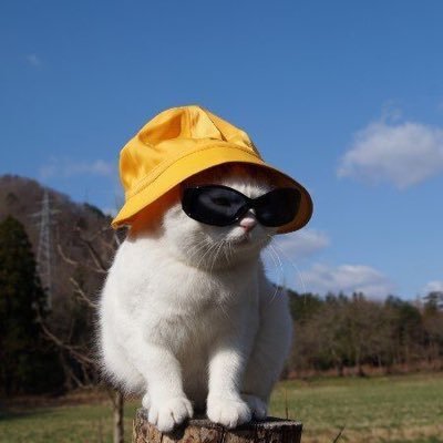 _sunny__day__'s profile picture. FE 취준생 | 공부주저리 | 일상 | 글