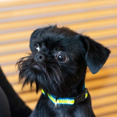 ⚕️ Marketing Director at @GalaxyVets, do-gooder at https://t.co/n1ZmggSBEJ