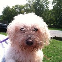 Winter Johnson - @WinterJohnsonSK - Twitter