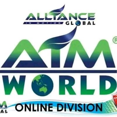 Silver Executive at Alliance in Motion Global Incorporated