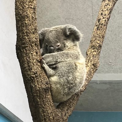いけっぱなさんのプロフィール画像