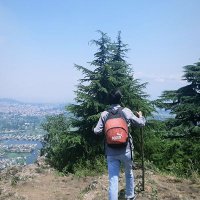 Bhat Shahab (@bhatshahab) 's Twitter Profile