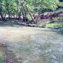 Mona hamdan - @Monaham96679764 - Twitter