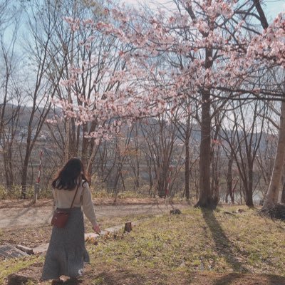 washawashako's profile picture. 