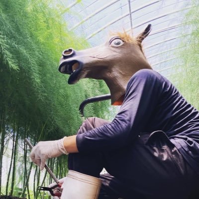 福岡のアスパラ農家あすうまです🐴栽培は主にアスパラ、ここではアスパラ栽培、お手軽簡単アスパラレシピをお届けします。2月〜9月はアスパラガスの承り中です、気軽にメッセージ、フォローくださいー(^^)あっ、インスタもやってますhttps://t.co/Ugd53xoFch