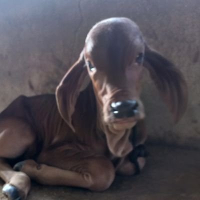 Farmer by profession. Bakt of NAMO NAMO FOR 2024