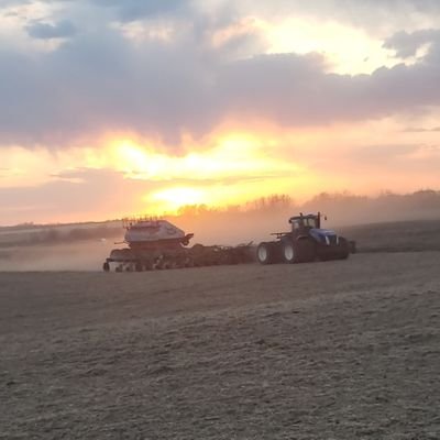 Diabetepete1's profile picture. Just a guy doing farm stuff