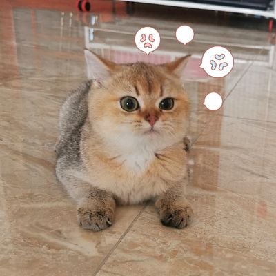 passerbyDD's profile picture. 