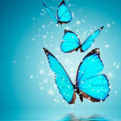 AAreesh3451's profile picture. 