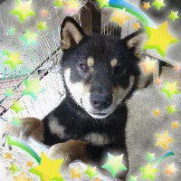 TOSHI (@toshiyuki1961) Twitter profile photo