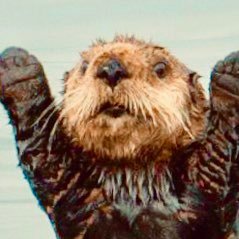 decamomo's profile picture. 箱推しです。ももクロちゃんとももクロちゃんに絡んだもの、絡んでほしいものあつかうアカウントです。あーりん！！