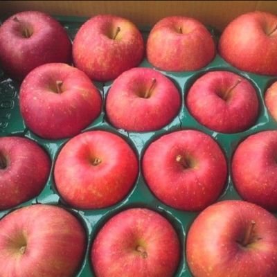 dango_67's profile picture. 生きてるだけで まるもうけ🎶
無言フォローお許し下さいませ。