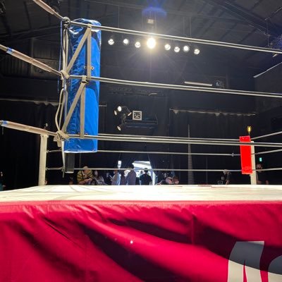 プロレス観戦
好きな選手は鈴季すず