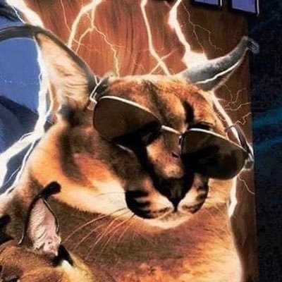 DoofMoneyz's profile picture. Pedantic TrVsrist
"It does not take a majority to prevail, but an irate, tireless minority keen to set brush fires in people's minds."