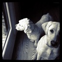 Don Woodard - @WoodardWrites - Twitter