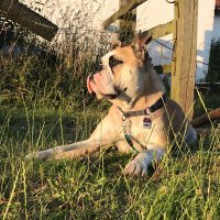 LaWap (@larsnie1807) 's Twitter Profile