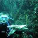 Ryan Bertrand - @RealRyanBertrnd - Twitter