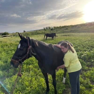 Veterinarian and horse lover с тонкой душевной организацией. Пионерлагерь «Ромашка»